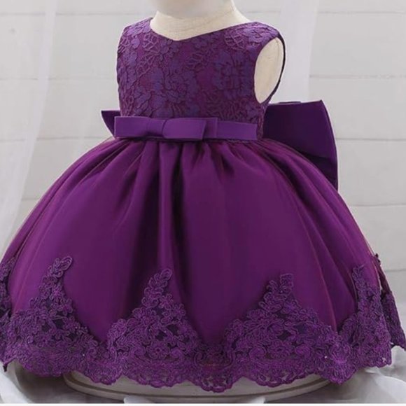 NWOT Dressy Daisy Baby Girl Dress Embroidered - Picture 7 of 8